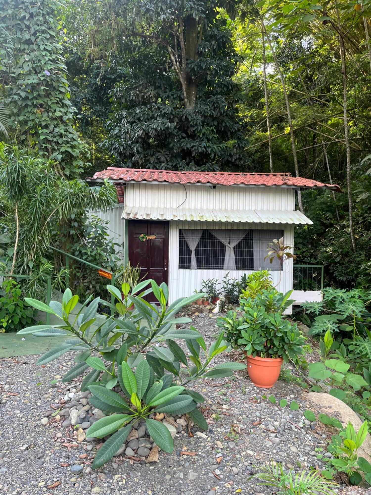 Casa Escondida Apartments マヌエル・アントニオ エクステリア 写真